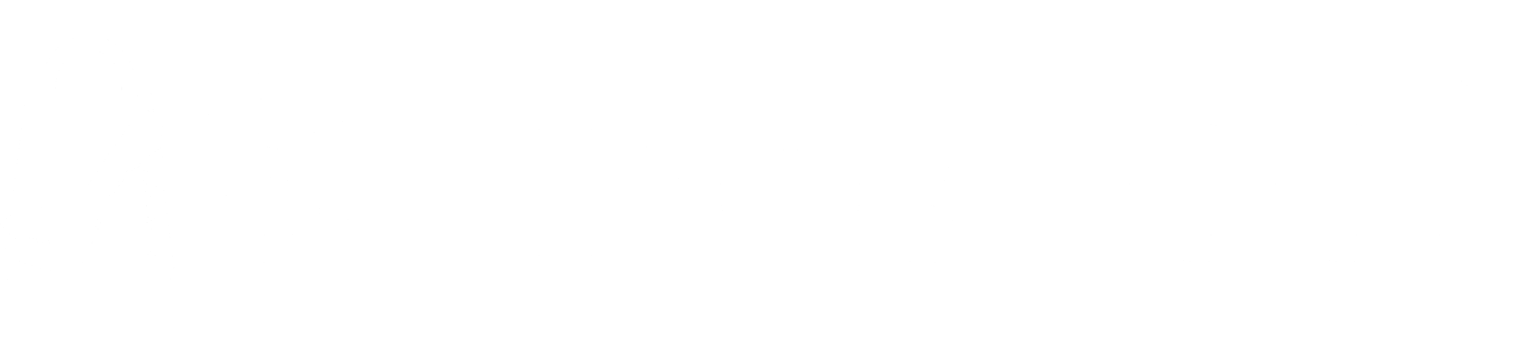 swinosfeet-logo
